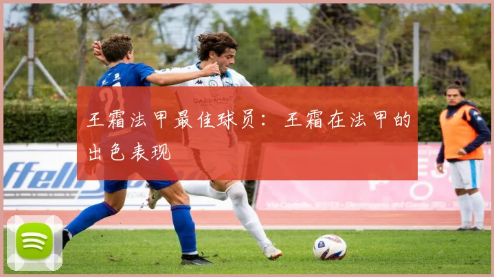 王霜法甲最佳球员：王霜在法甲的出色表现