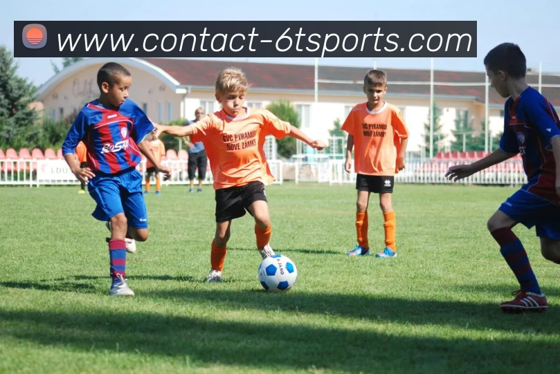 6T体育平台生态图